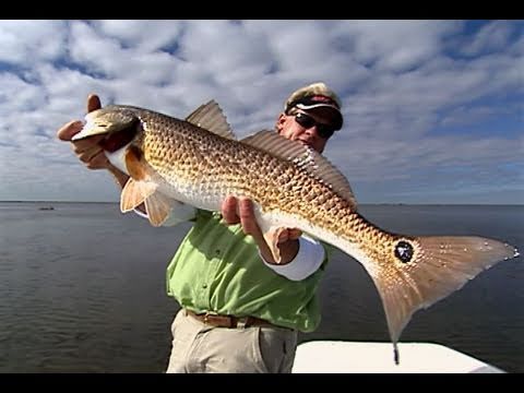 Fly Fishing For Redfish In The Louisiana Marsh With Capt Ryan Lambert