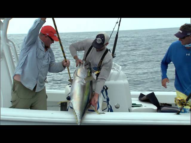 Into The Blue: ‘Louisiana Fishing Is AWESOME!’ 2012 : Season 4 Episode 2