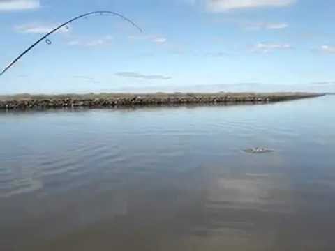 Saltwater Fishing In Southeast Louisiana – Redfish Out Of Lafitte (near New Orleans)