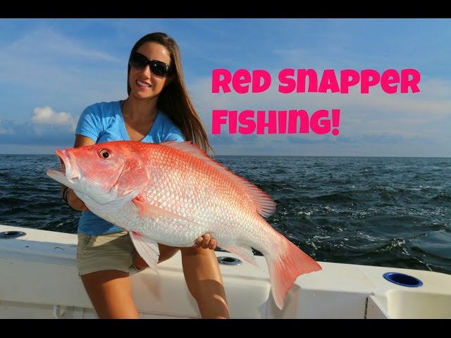 Best Of Venice, Louisiana RED SNAPPER Fishing Part 1