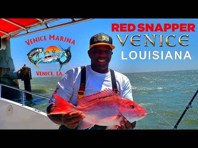 How To Catch Red Snapper (Venice Louisiana) (Oil Rigs)