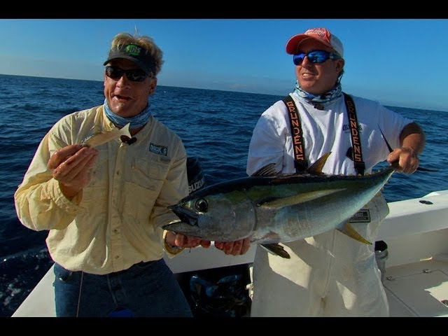 Offshore Fishing For Yellowfin Tuna In Venice Louisiana