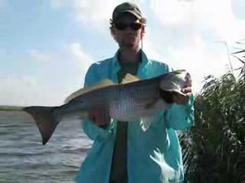 Speckled Trout And Redfish Fishing Trip In Venice, LA