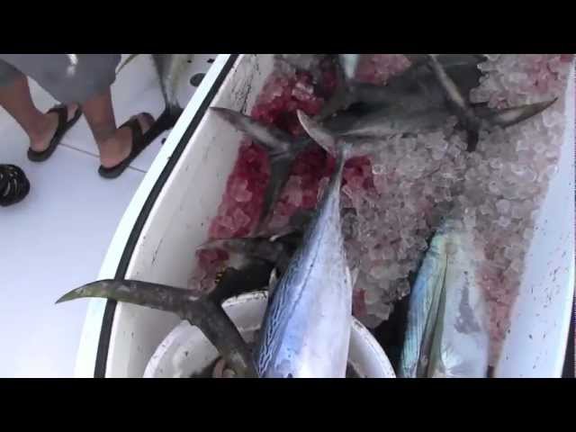 July 2012 Yellowfin Tuna Fishing