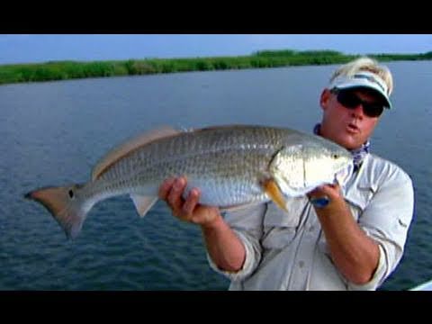 Fly Fishing for Red Drum In Venice Louisiana With Capt Ryan Lambert
