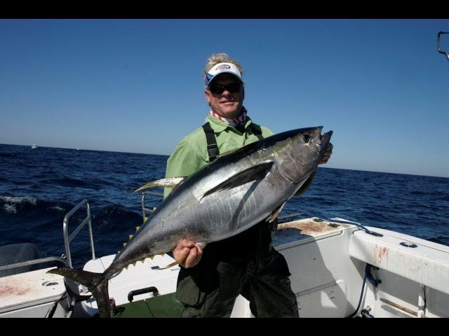 Wahoo Fishing Offshore Oil Rigs And Yellowfin Tuna In Venice LA