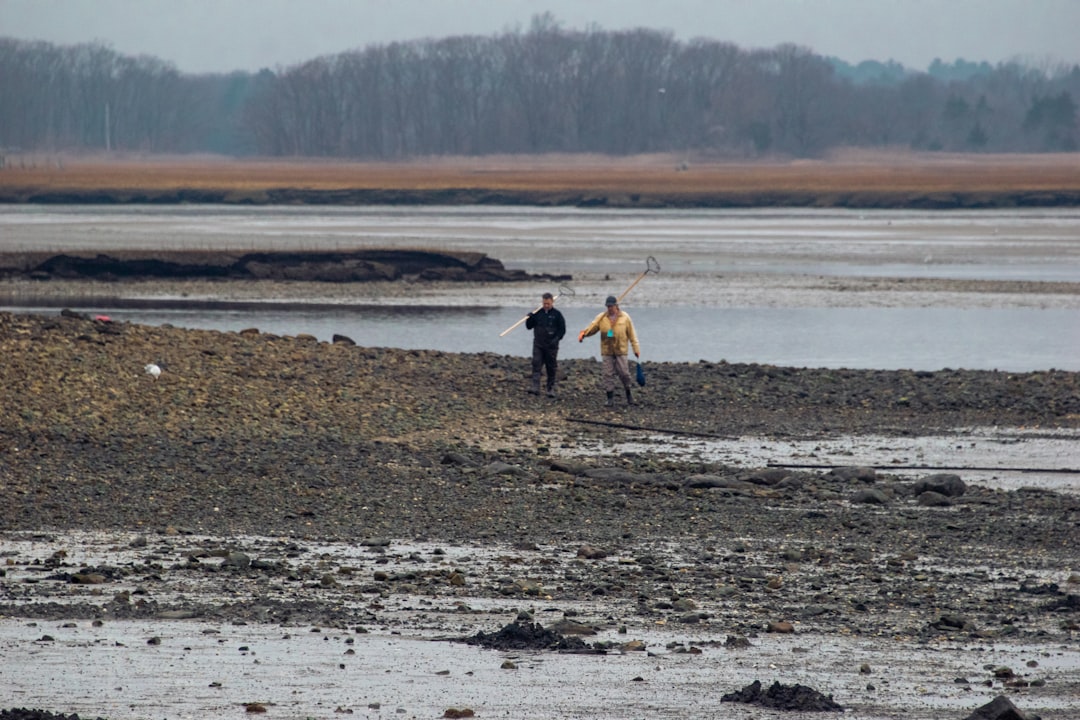 Reading the Tides: An Angler’s Guide to Signal Integrity on the Water