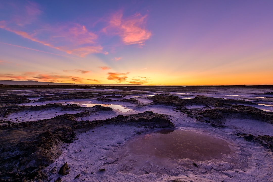 A wide, scenic photograph of a beautiful coastal salt marsh at sunrise, with bright light reflecting off the water and highlighting the grasses.