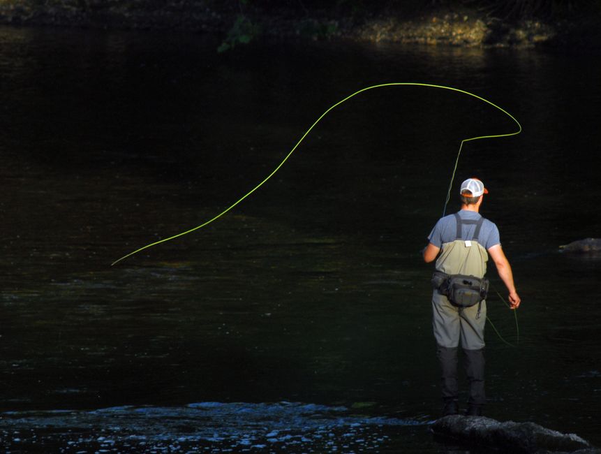 From the Marsh to the Marlin: A Fly Fisherman’s Guide to Conquering Cabo